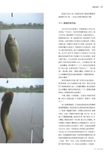 垂钓2023年8月第8期