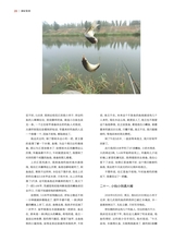 垂钓2023年8月第8期