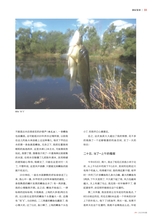 垂钓2023年8月第8期