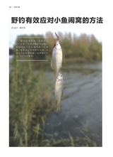 垂钓2023年8月第8期