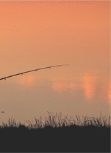 垂钓2023年8月第8期