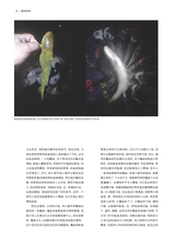 垂钓2023年9月第9期