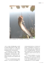 垂钓2023年9月第9期