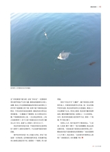 垂钓2023年9月第9期