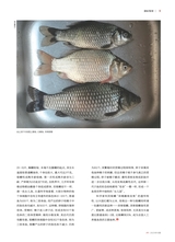 垂钓2023年10月第10期