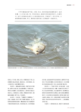 垂钓2023年10月第10期