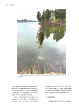 垂钓2023年10月第10期