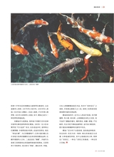 垂钓2023年10月第10期