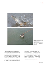 垂钓2023年10月第10期