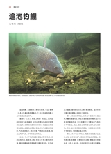 垂钓2023年10月第10期