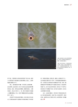 垂钓2023年10月第10期