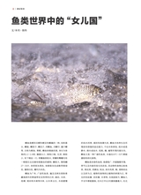 垂钓2023年10月第10期