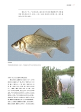 垂钓2023年10月第10期