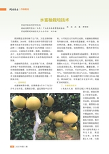 湖南农业2025年5月第5期