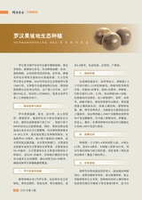 湖南农业2025年5月第5期