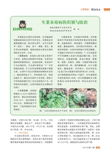 湖南农业2025年5月第5期