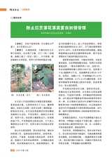 湖南农业2025年5月第5期