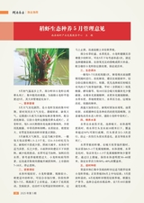 湖南农业2025年5月第5期