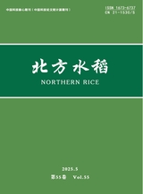 北方水稻
