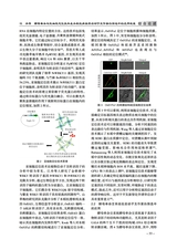 北方水稻2025年6月第3期
