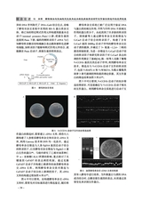 北方水稻2025年6月第3期