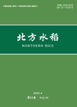北方水稻