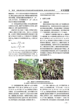 北方水稻2025年8月第4期