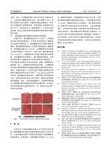 乳业科学与技术2025年9月第5期