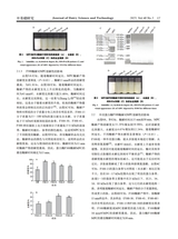 乳业科学与技术2025年9月第5期