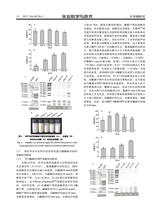 乳业科学与技术2025年9月第5期