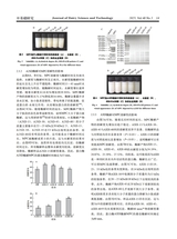 乳业科学与技术2025年9月第5期