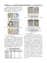 乳业科学与技术2025年9月第5期