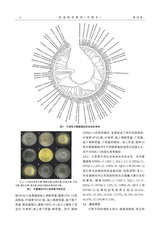 农业科学研究2025年9月第3期