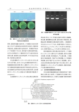 农业科学研究2025年9月第3期