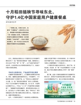 产品可靠性报告2025年5月第5期