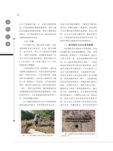 客家文博2025年6月第2期