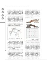 客家文博2025年9月第3期