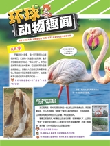 小哥白尼·野生动物画报2022年10月第10期