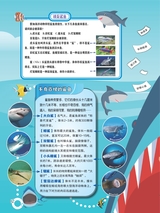 小哥白尼·野生动物画报2022年10月第10期