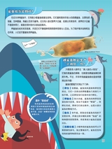 小哥白尼·野生动物画报2022年10月第10期