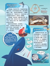 小哥白尼·野生动物画报2022年10月第10期