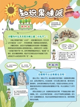 小哥白尼·野生动物画报2022年10月第10期