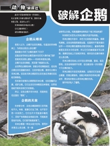 小哥白尼·野生动物画报2022年10月第10期