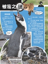 小哥白尼·野生动物画报2022年10月第10期