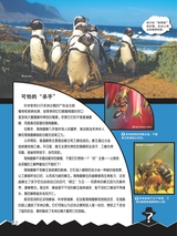 小哥白尼·野生动物画报2022年10月第10期