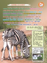 小哥白尼·野生动物画报2022年10月第10期