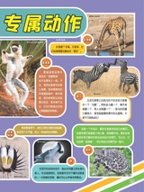 小哥白尼·野生动物画报2022年10月第10期