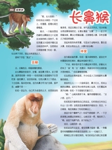 小哥白尼·野生动物画报2022年10月第10期