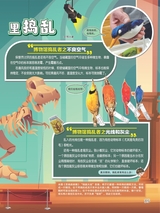 小哥白尼·野生动物画报2022年10月第10期