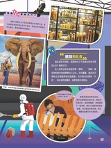 小哥白尼·野生动物画报2022年10月第10期